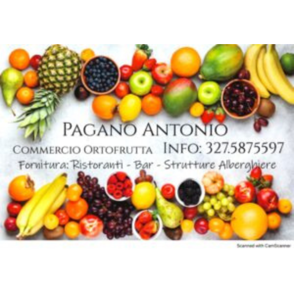 logo pagano antonio.png