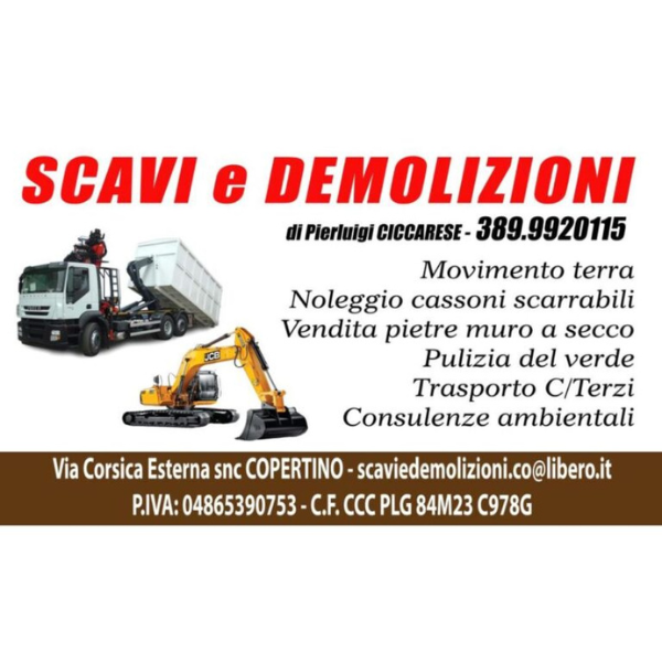 logo scavi e demolizioni.png
